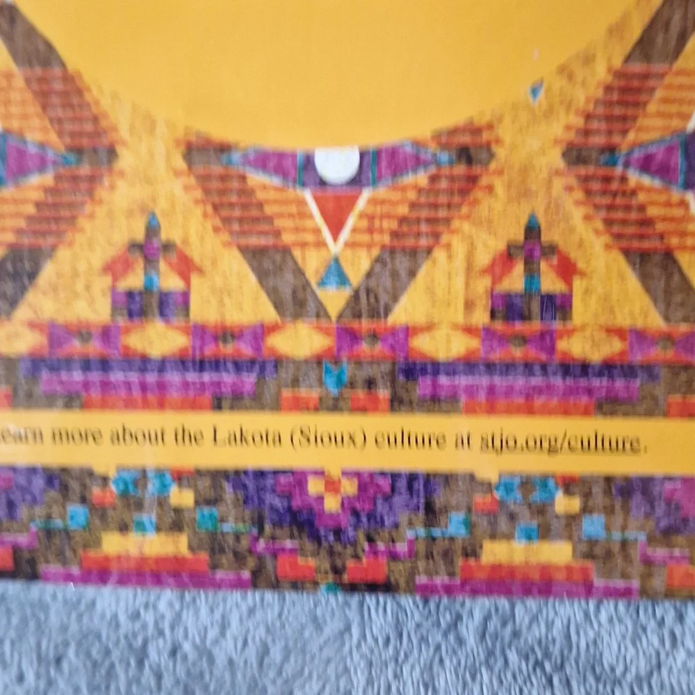 NWT Brown Feather Dreamcatcher Wall Decor